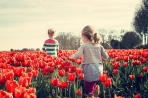 Spring Activities to Consider in Collinsville, IL