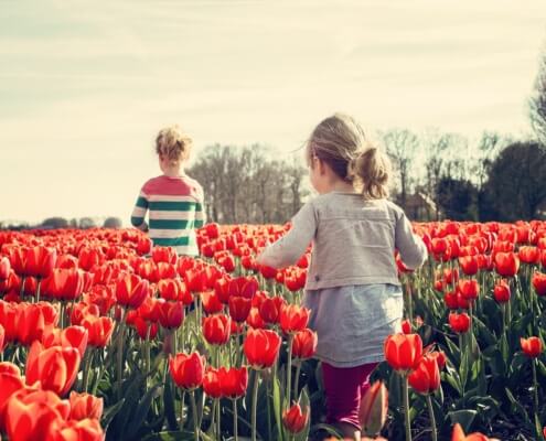 Spring Activities to Consider in Collinsville, IL