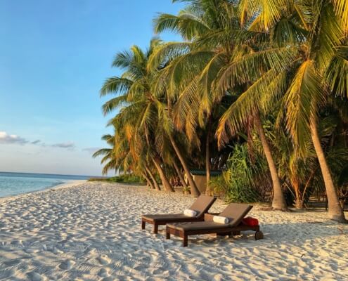 Temporary Insurance Policies in Collinsville, IL