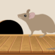 How to prevent rodent damage in your Collinsville, IL home